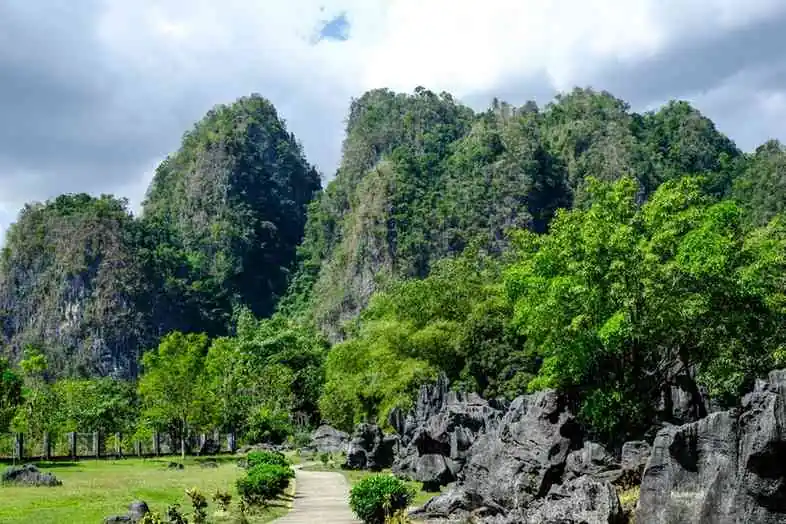 Leang Leang Cave Paintings In Maros, Sulawesi